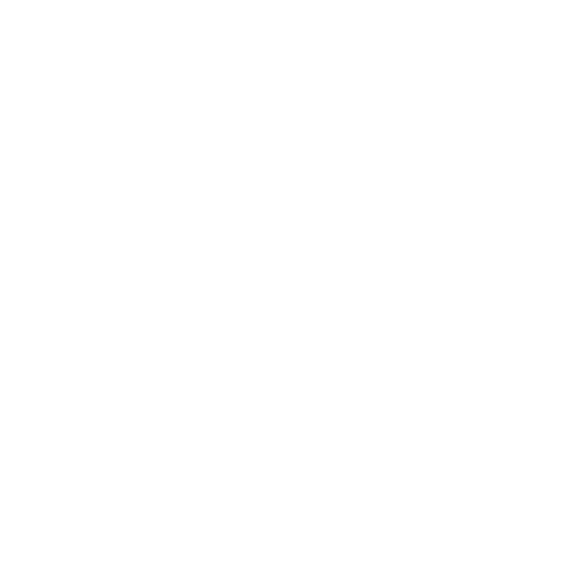 Attorneys